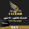 سنه-جهازين-بوقت-واحد.png FALCON TV PRO - اشتراك فالكون لمدة سنة مستخدمين 2